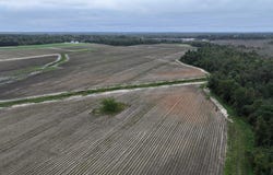 Huckleberry Road, Lucama, NC 27851