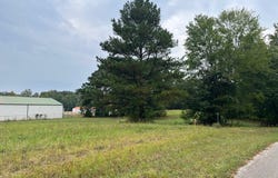 Jackson Forest, PARIS, TN 38242