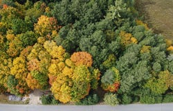 ON CONNORS RD, Three Lakes, WI 54562