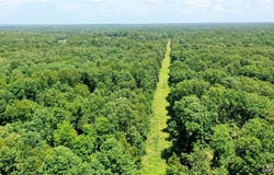 CR 5400, Salem, MO 65560