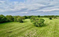 00022 Hwy 22, Flora, MS 39071