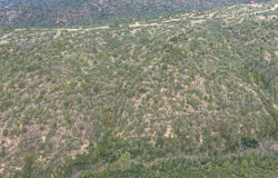 Roberts Ridge Road, Hesperus, CO 81326