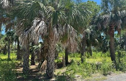 SW Airport Rd, Cedar Key, FL 32625