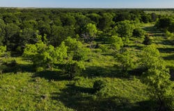 Symank Road, Megargel, TX 76370