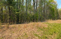 Ironsburg Road, Tellico Plains, TN 37385