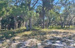Airport Rd, Cedar Key, FL 32625