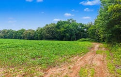 BUD EUBANK Rd, Stanton, TN 38069