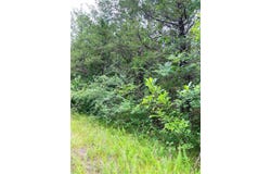 Cedar Lane lot: 60, Diamond City, AR 72644