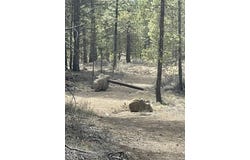 50160 Darlene Way, La Pine, OR 97739