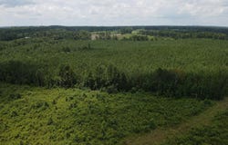 County Road 131b, Morton, MS 39117