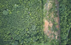 Beal Road, Robbins, NC 27325