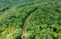 Abbott Mill Road, Ellijay, GA 30540