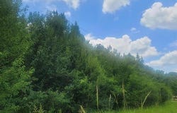 0 Hwy 280, Harpersville, AL 35078