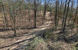 Manning Road, Mt. Vernon, AR 72111