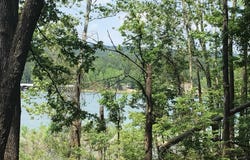 L58 Davidson, Edgemont, AR 72044