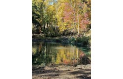 26150 Featherstone Road, Sturgis, MI 49091