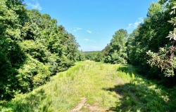 COUNTY ROAD 3338, Brundidge, AL 36010
