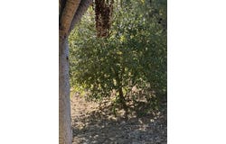 1854 Grove Road, El Cajon, CA 92020