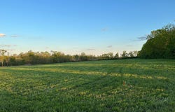 2007 Walnut Grove Road, Carlisle, KY 40311
