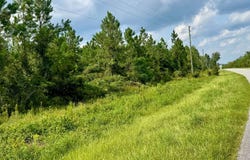 CR 51 N, Jasper, FL 32052