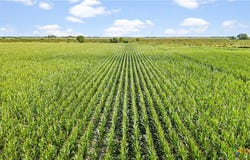 CR 311, Louise, TX 77455