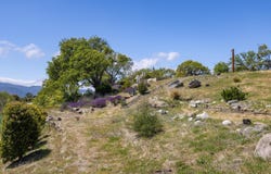 35000 Sky Ranch RD, CARMEL VALLEY, CA 93924