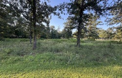 County Road 380 lot: 6, Centre, AL 35960