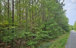 691 Miller Camp Road, Buckingham, VA 23921