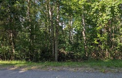 Deer Creek Xing, Mountain City, TN 37683