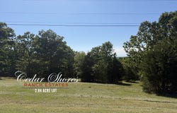 1145 Lake Point, Kissee Mills, MO 65680
