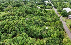 Julia Street lot: 85D, Bay Saint Louis, MS 39520