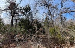 Lot 14 Toad Road, Harrah, OK 73045