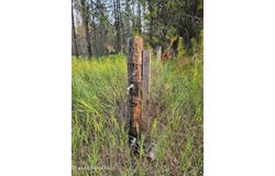 461 Bear Rd, Priest River, ID 83856