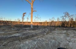 Chicora River Rd, WAYNESBORO, MS 39367