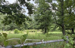 5 Acres Smith Rd, Texarkana, AR 71854