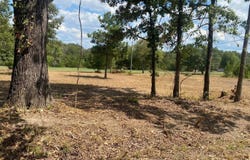 304/306 Wedge, Horseshoe Bend, AR 72512