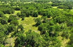 County RD 581, Cisco, TX 76437