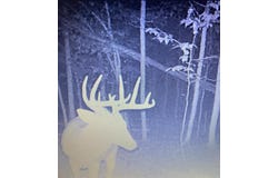 v/l Holibaugh Road, Springport, MI 49284