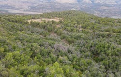 X 1/2 Road, De Beque, CO 81630