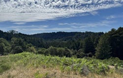 SCOTTS VALLEY, CA 95066