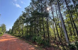 PARKER ISLAND Road, EQUALITY, AL 36026