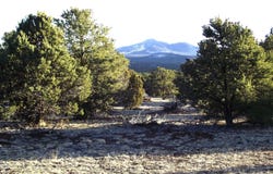 20202107c Honeysuckle Road, Williams, AZ 86046