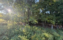 Highview Avenue, Liberty, NY 12754