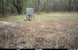 C R 354, Winona, TX 75792