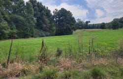 Co Rd 1079, Vinemont, AL 35179