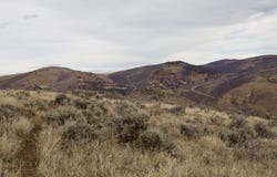 TBD County Road 37, Hamilton, CO 81638