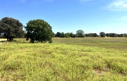 25.49 Acres TBD Highway 6, De Leon, TX 76444