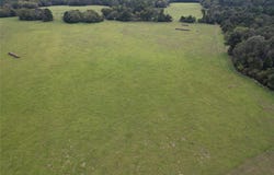 CR 435, Frankston, TX 75763