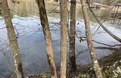 MOHAWK CLIFF ROAD lot: 5, OHATCHEE, AL 36271