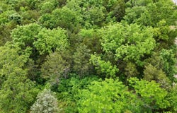 State Hwy 86, Eagle Rock, MO 65641